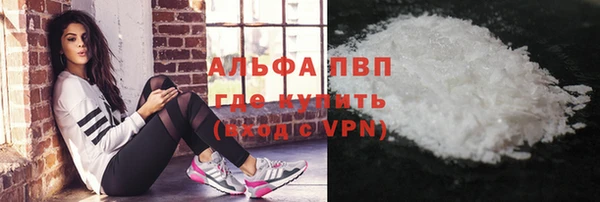 прущие грибы Богородск