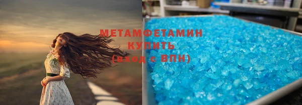 прущие грибы Богородск