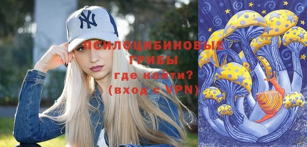 прущие грибы Богородск
