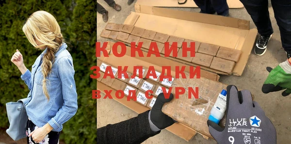 прущие грибы Богородск