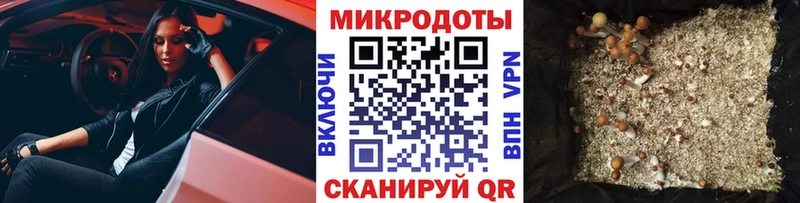 Галлюциногенные грибы Cubensis  купить наркотики сайты  Тверь 